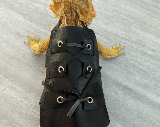 Bearded Dragon Gladiator Vest Costume MADE IN AMERICA