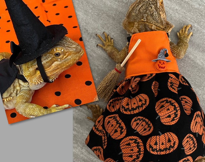 Bearded Dragon Witch Dress, hat and Broom MADE IN AMERICA