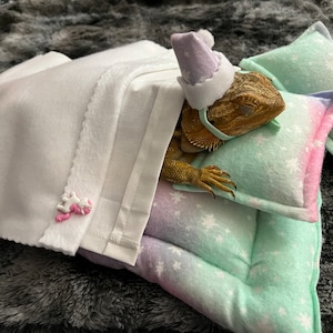 Bearded Dragon Bed (6pcs) MADE IN AMERICA