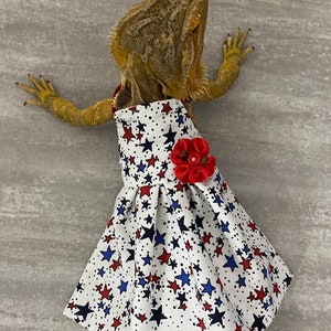 Fourth of July Bearded Dragon Dress MADE IN AMERICA