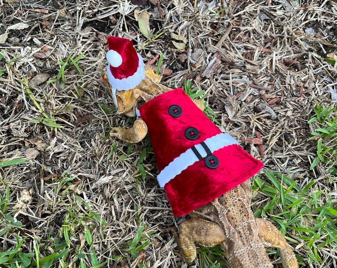 Santa Claus Christmas Bearded Dragon Costume MADE IN AMERICA