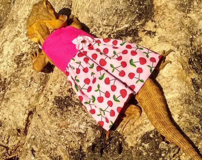 Half Cherry Half Magenta Bearded Dragon Dress MADE IN AMERICA
