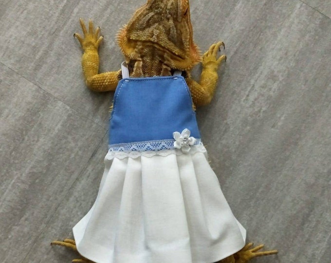 Blue Bearded Dragon Dress MADE IN AMERICA