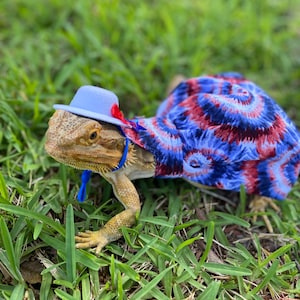 Fourth of July Bearded Dragon Dress MADE IN AMERICA