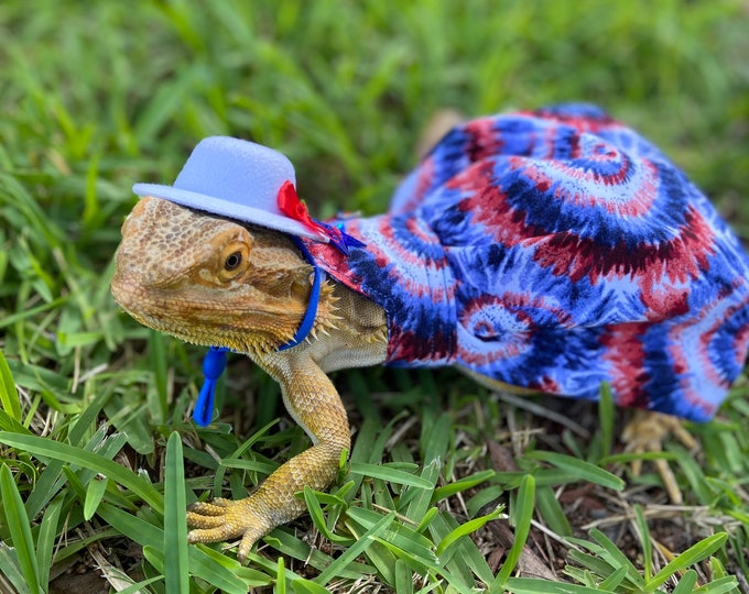 Fourth of July Bearded Dragon Dress MADE IN AMERICA