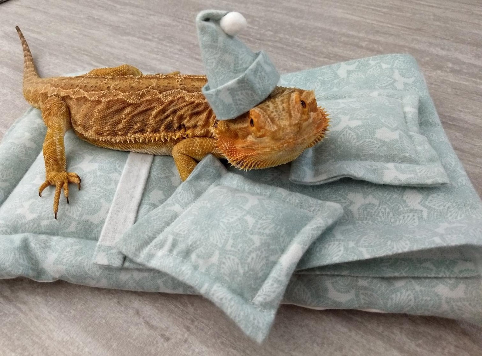 Bearded Dragon Bed 6pcs MADE IN AMERICA Etsy