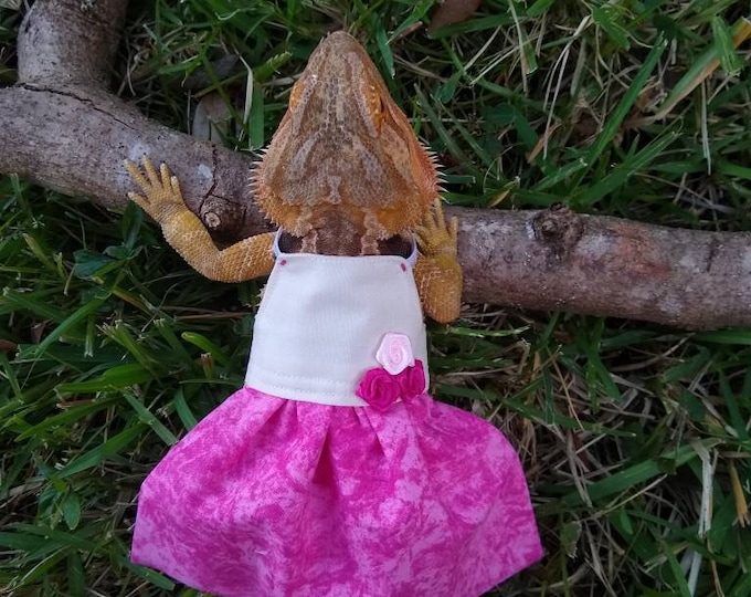 Valentine's Day Bearded Dragon Dress MADE IN AMERICA