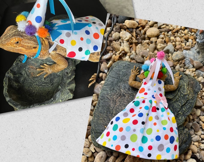 Bearded Dragon Birthday Dress or Shirt Costume MADE IN AMERICA