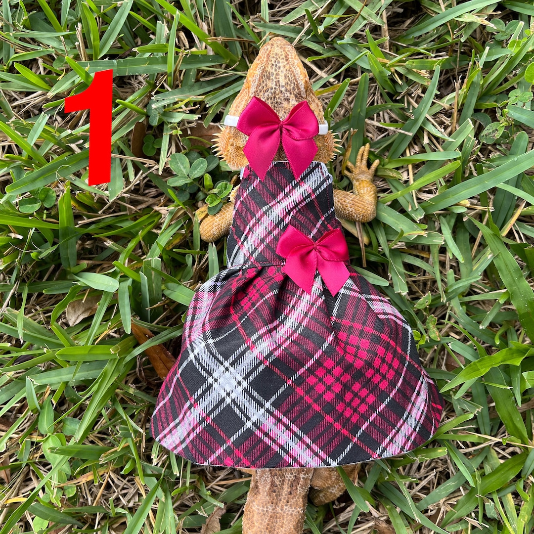 CHRISTMAS Bearded Dragon Dresses Made in America - Etsy