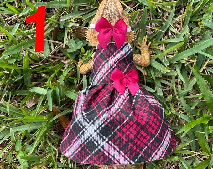 CHRISTMAS Bearded Dragon Dresses Made in America