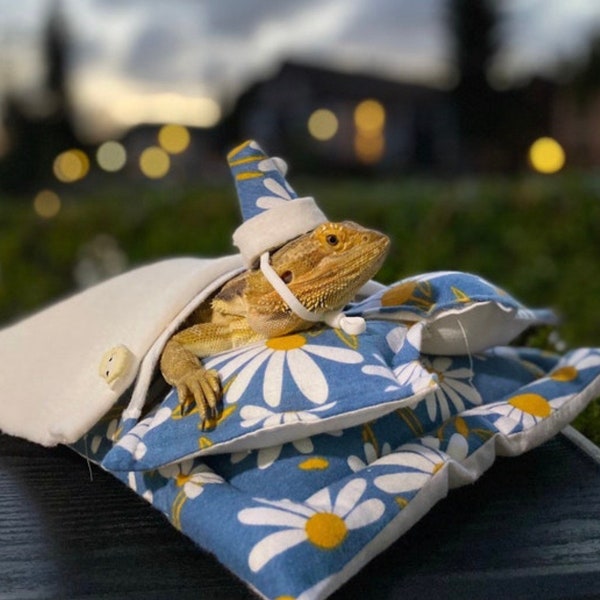 Bearded Dragon Accessories for Tank Etsy