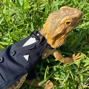 Bearded Dragon Tuxedo MADE IN AMERICA