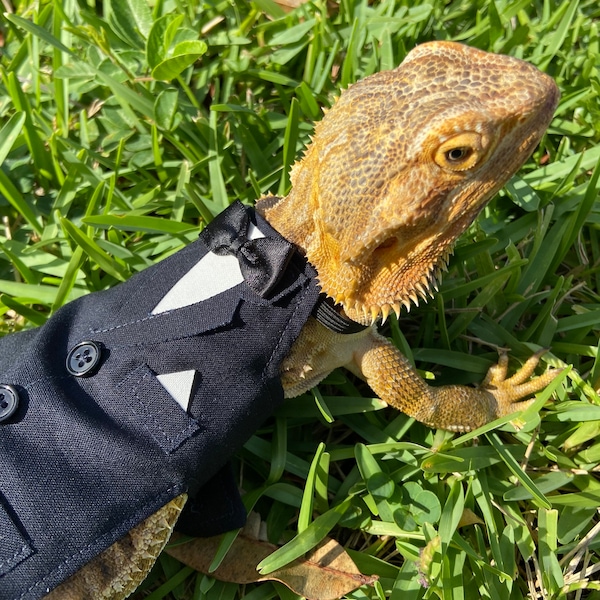 Bearded Dragon Tuxedo MADE IN AMERICA