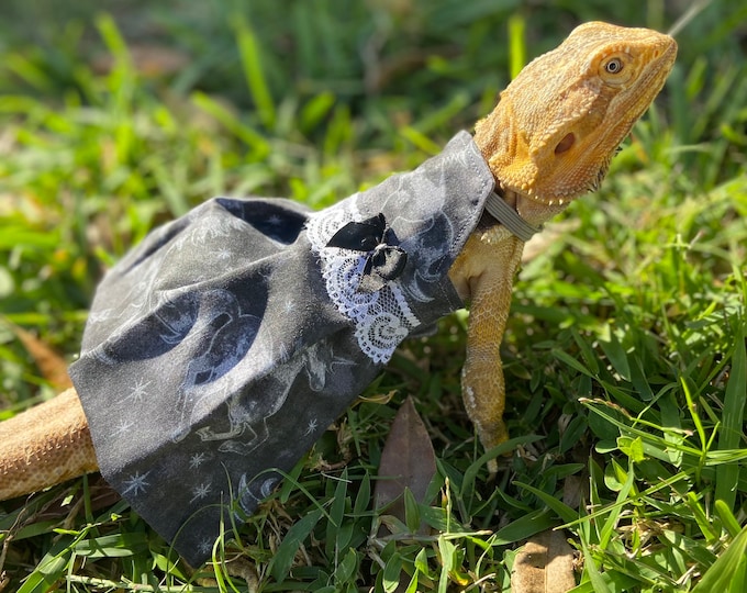 Black Unicorn Bearded Dragon Dress MADE IN AMERICA