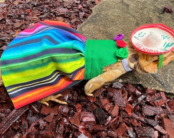 Peut inclure: Un reptile vêtu d'une tenue colorée. Le costume comprend une jupe rayée, un haut vert et un sombrero miniature avec le mot "MEXICO". La tenue est ornée de roses en tissu. Le reptile est sur une surface en pierre.