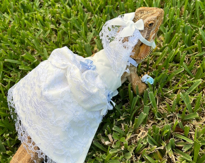 Wedding Dress Bearded Dragon Costume MADE IN AMERICA