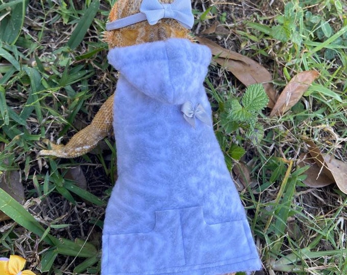 Bearded Dragon Sweater MADE IN AMERICA