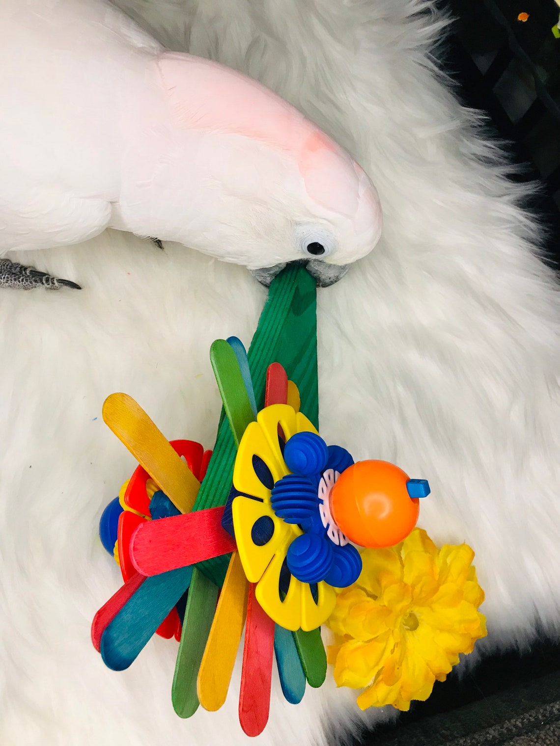 Single Large bird/parrot foot toys for macaw cockatoo ect Etsy
