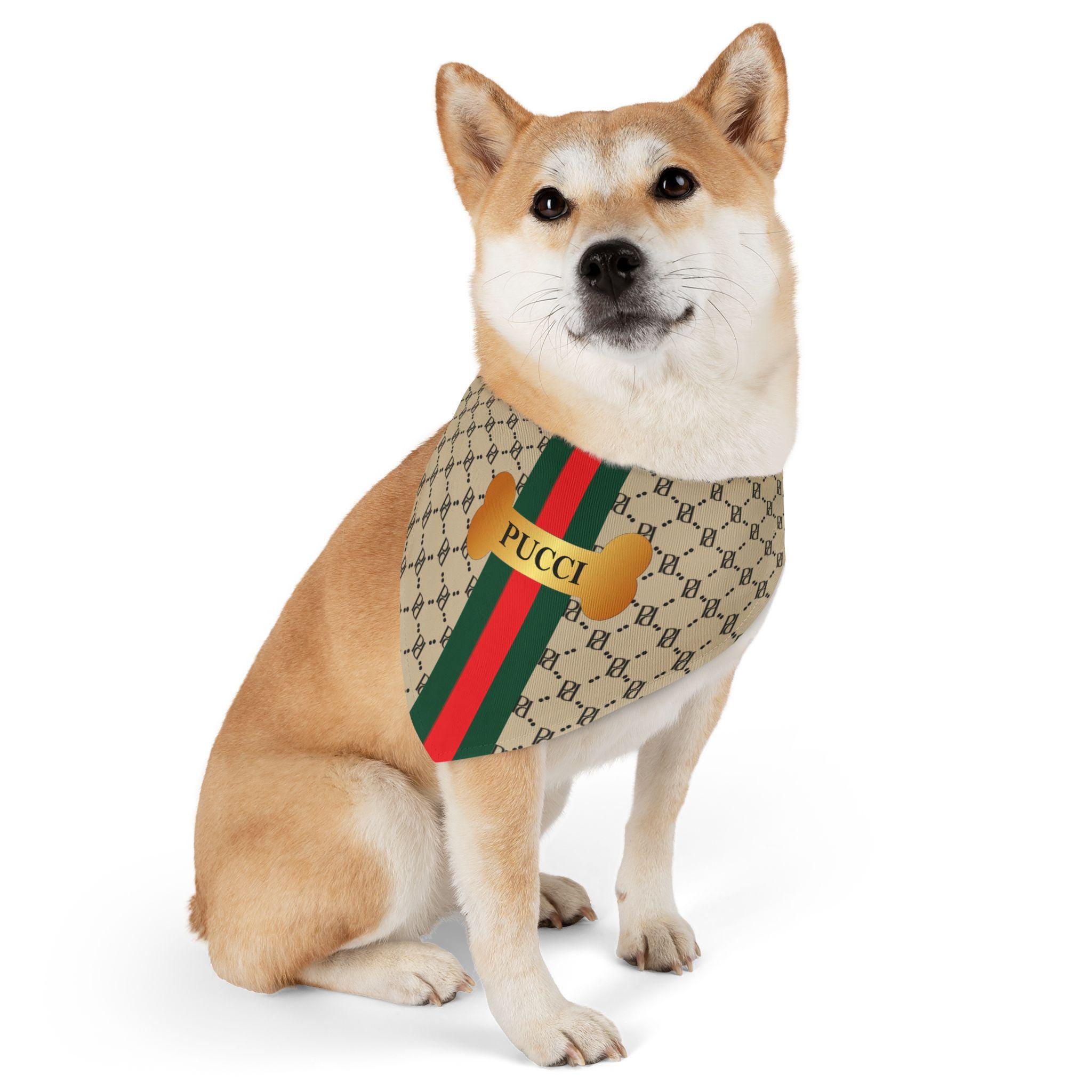 Pucci Dog Etsy