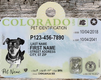 Custom Metal Pet Tag- All States Available