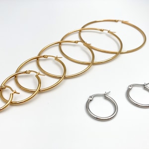 Stainless Steel Hoop Earrings: 20mm-70mm, 2mm Diameter