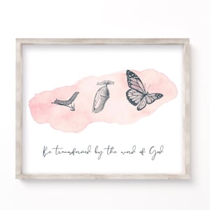 Può includere: Una stampa ad acquerello con uno sfondo rosa che presenta un bruco, un bozzolo e una farfalla. Il testo "Be transformed by the word of God" è scritto sotto l'immagine.