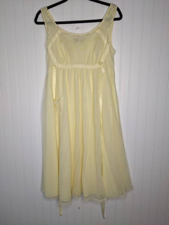 Vintage Munsingwear Lace Chiffon Nightgown - image 1