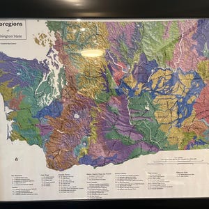 May include: A framed map of Washington State's ecoregions, showcasing a detailed, colorful depiction of the state's diverse landscapes. The map is framed in black and includes text identifying the ecoregions.