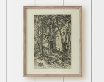 Vintage Tree Pencil Drawing Landscape Art Print - Forest Drawing