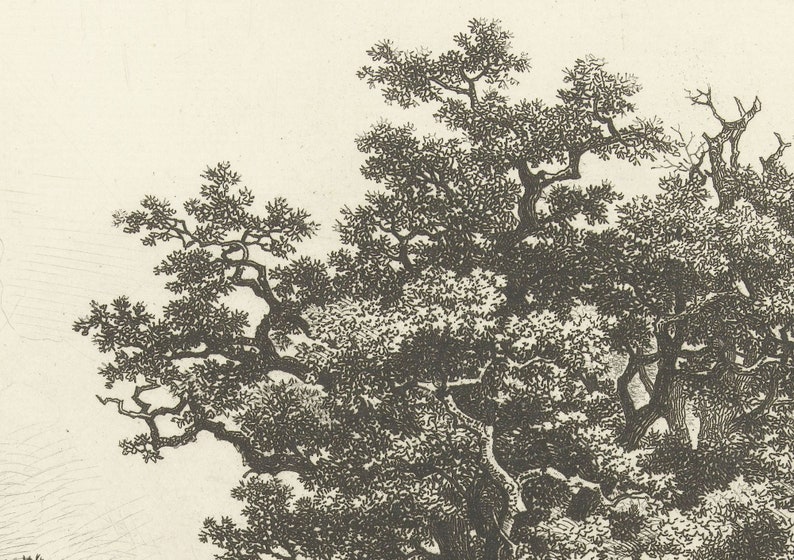 Vintage Tree Pencil Drawing Landscape Art Print Tree Over Etsy