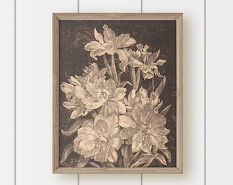 Vintage Botanical Art Print - Black Background Chrysanthemum