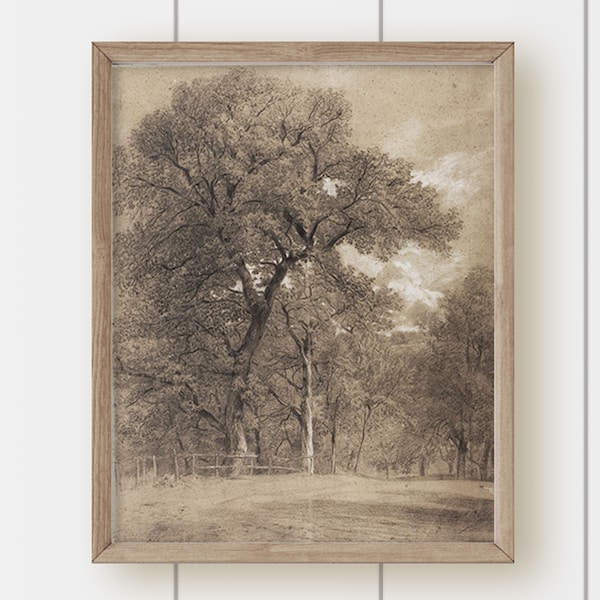 Vintage Neutral Landscape Art - Old Sepia Tree