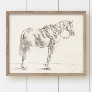 Vintage Horse Painting Print - Horse with Blanket