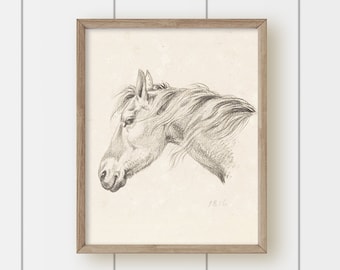 Vintage Horse Painting Print - Windy Horse Sketch