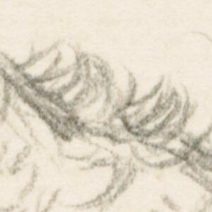 May include: A close-up of a pencil drawing of a horse's mane, showing the detailed texture of the hair.
