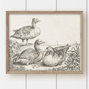 Vintage Goose Painting Art Print - Three Geese