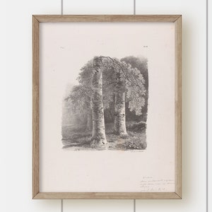 Vintage Landscape Painting - Weeping Trees