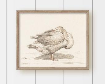 Vintage Painting Goose Art - Pencil Sketch Goose