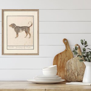 May include: A framed black and white illustration of a dog with the text "2. Dachs. Jagermayr und Mayer" below the image.
