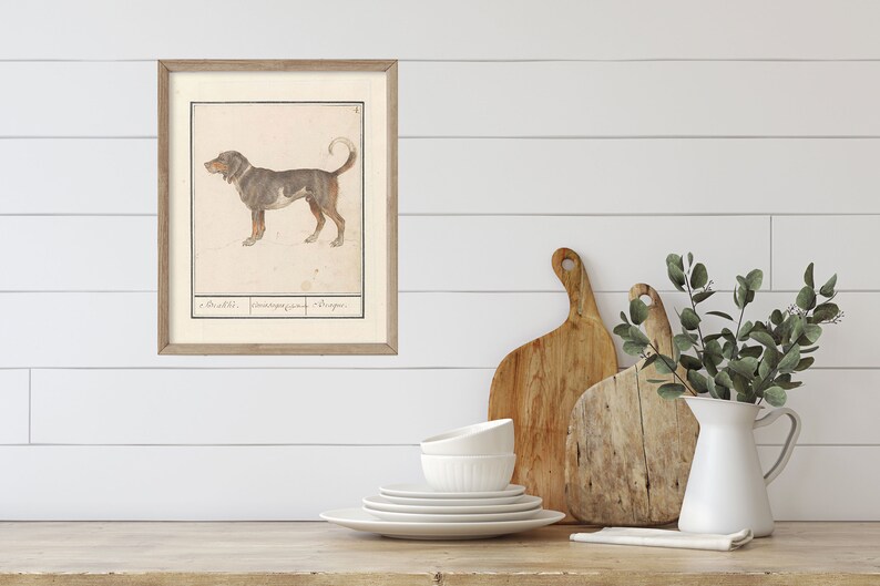 May include: A framed black and white illustration of a dog with the text "2. Dachs. Jagermayr und Mayer" below the image.