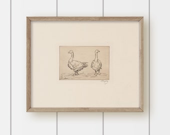 Vintage Painting Goose Art - Pen and Ink Geese