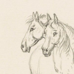 May include: A pencil drawing of two horses' heads, side by side, with their noses touching. The horses are drawn in a realistic style, with detailed features and shading.