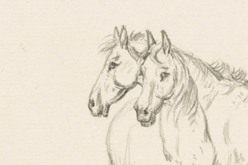 May include: A pencil drawing of two horses' heads, side by side, with their noses touching. The horses are drawn in a realistic style, with detailed features and shading.