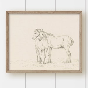 May include: A black and white pencil drawing of two horses standing side by side in a field. The horses are facing the viewer and their heads are touching.