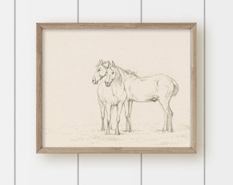 May include: A black and white pencil drawing of two horses standing side by side in a field. The horses are facing the viewer and their heads are touching.