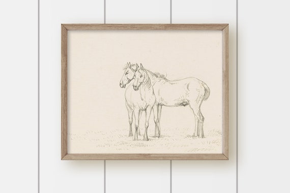 Vintage Horse Art - Two Horse Friends
