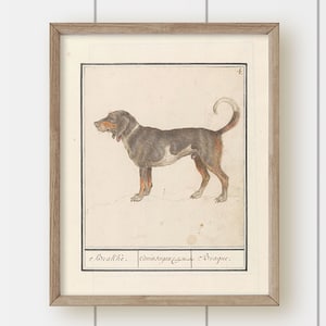 Vintage Neutral Dog Painting - Side View Dog