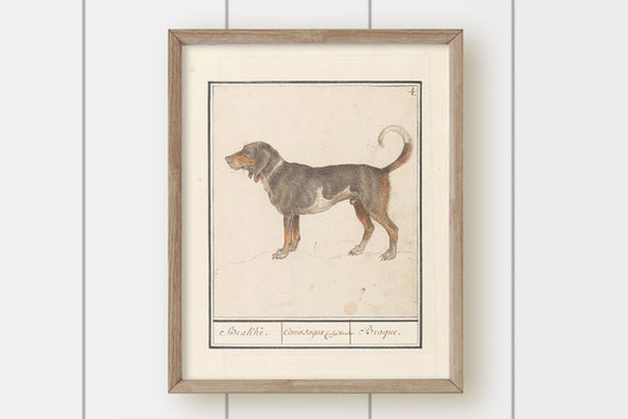 Vintage Neutral Dog Painting - Side View Dog