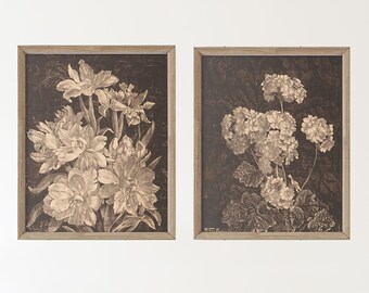 Set of Two Vintage Art prints - Black Background Florals