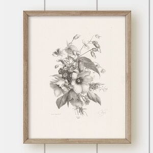 Vintage Botanical Art Print - Gray Bouquet